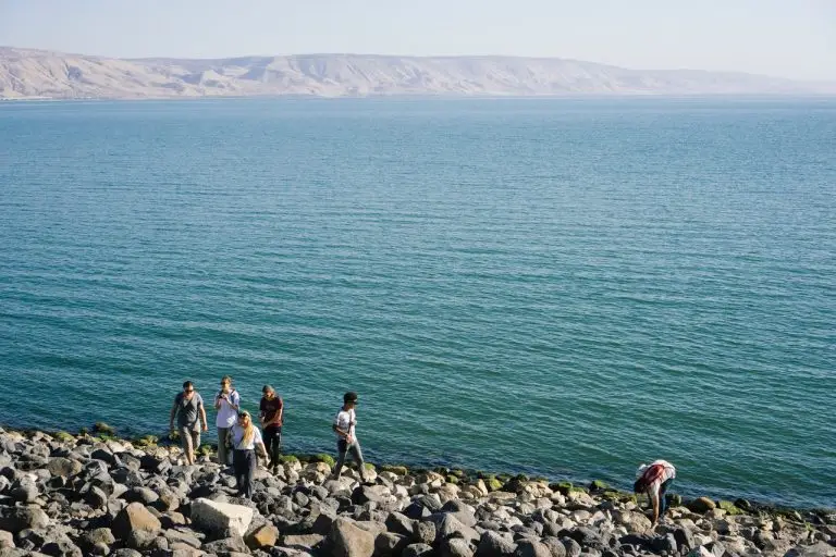 חובה לסמן בבירור בשלטים ברורים וגדולים את היות החוף בלתי מוכרז.