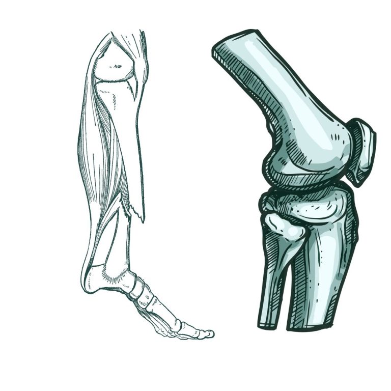 גם אחוזי הנכות יהיו גבוהים יותר.