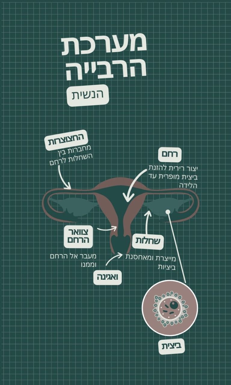 נזק בר תביעה